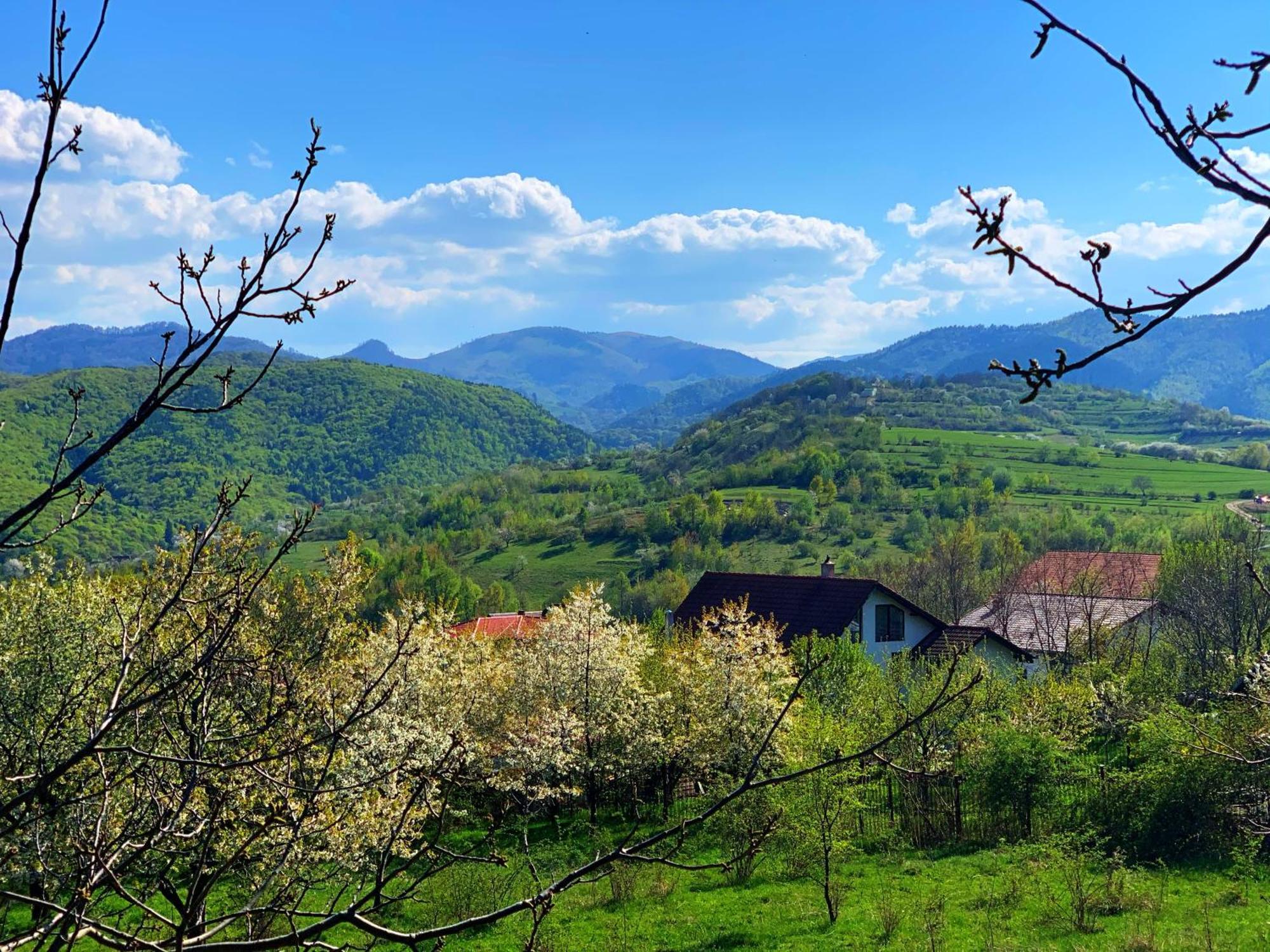 Pensiunea Apfelhaus Cisnădioara Zewnętrze zdjęcie